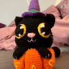 Halloween black cat in pumpkin