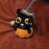 Halloween black cat in pumpkin